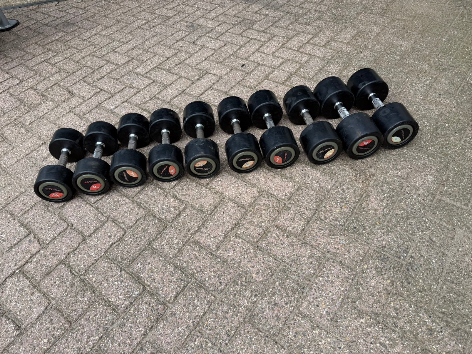 Life Fitness Dumbells 12kg t/m 22kg, Ophalen, Gebruikt, Dumbbell
