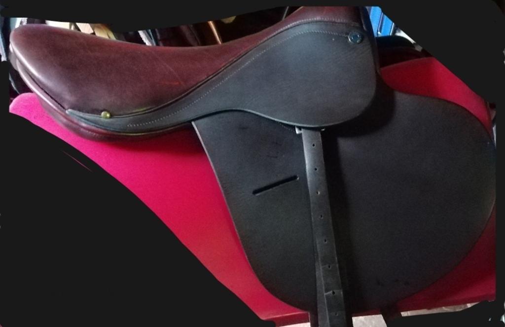 Nouvelle selle poney taille 16 équipée, Animaux & Accessoires, Enlèvement