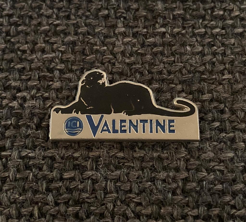 PIN - ICI - VALENTINE - ZWARTE PANTER - PANTHÈRE NOIRE, Envoi, Utilisé, Autres sujets/thèmes, Insigne ou Pin's