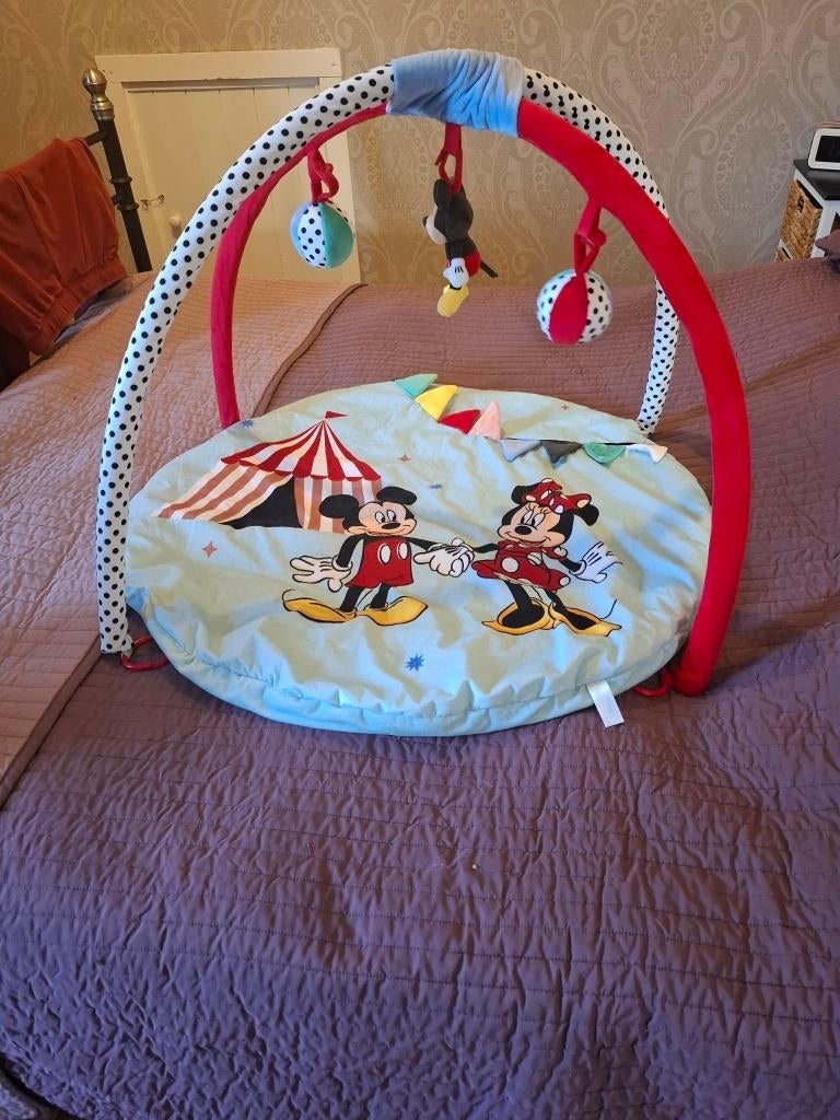 Disney Baby Speeltapijt, Ophalen of Verzenden, Zo goed als nieuw