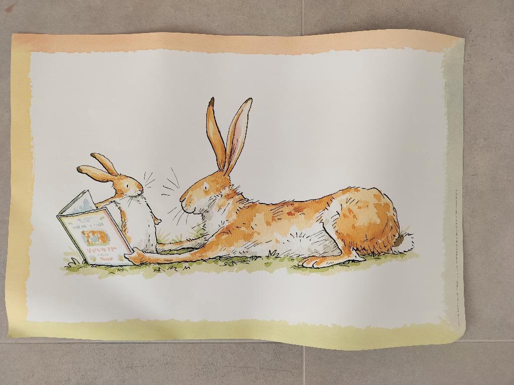 Poster ''Raad eens hoeveel ik van je hou''., Boeken, Ophalen