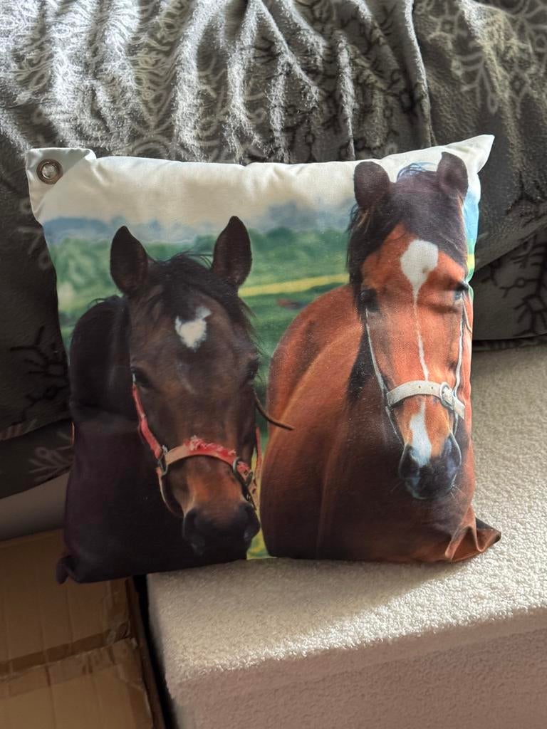 Kussen met paarden, Enlèvement, Comme neuf, Autres couleurs, Carré