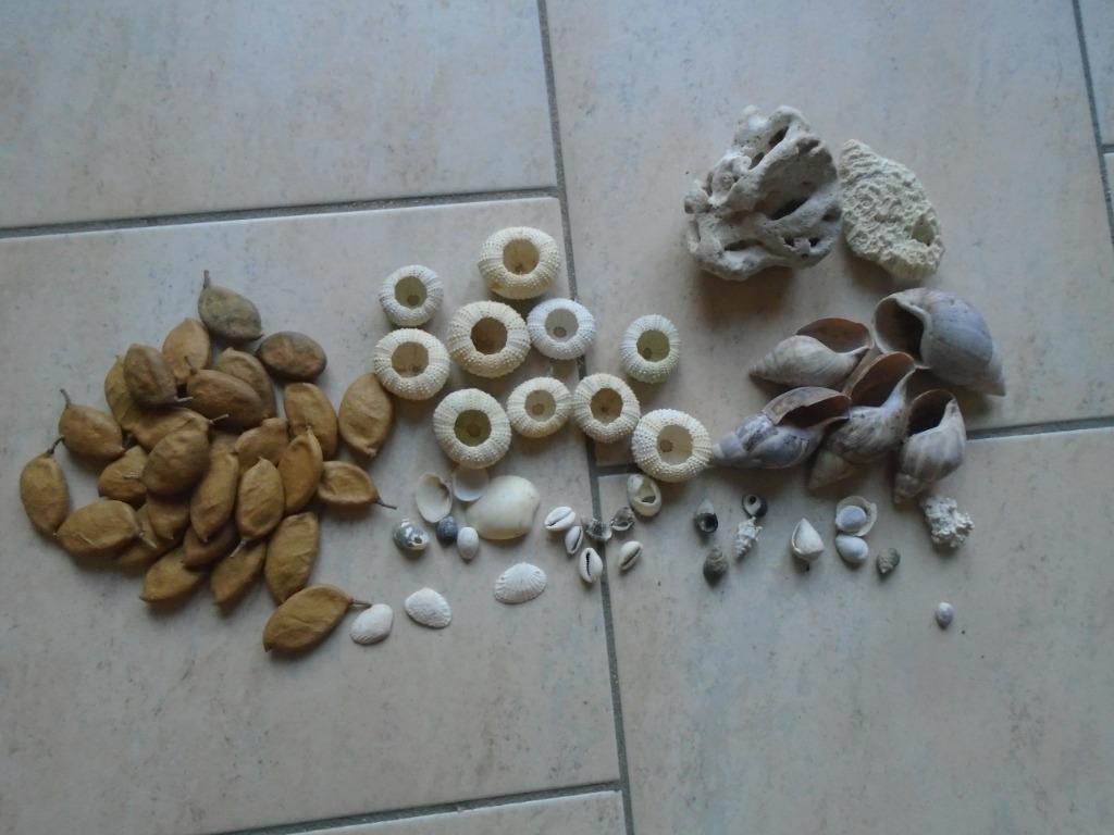 PARTIJ: SCHELPDIEREN „MIR"+STENEN + FRUIT + MACRAMÉ, Ophalen of Verzenden