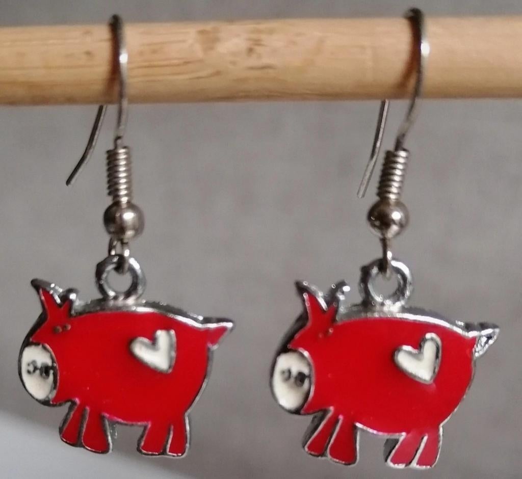 Leuke oorbellen, Handtassen en Accessoires, Ophalen of Verzenden, Zo goed als nieuw