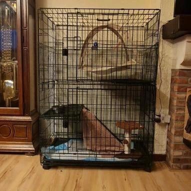 Grande cage pliable, Enlèvement ou Envoi, Autres types