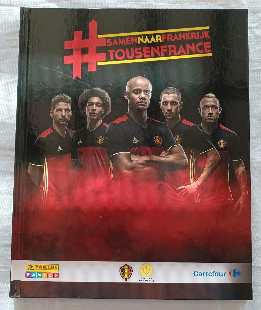 Panini album: #Tousenfrance (2016), Ophalen of Verzenden, Zo goed als nieuw, Stickers en Plaatjes