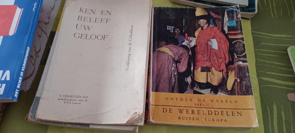 Toutes sortes de vieux cuirs/livres scolaires, Enlèvement, Utilisé
