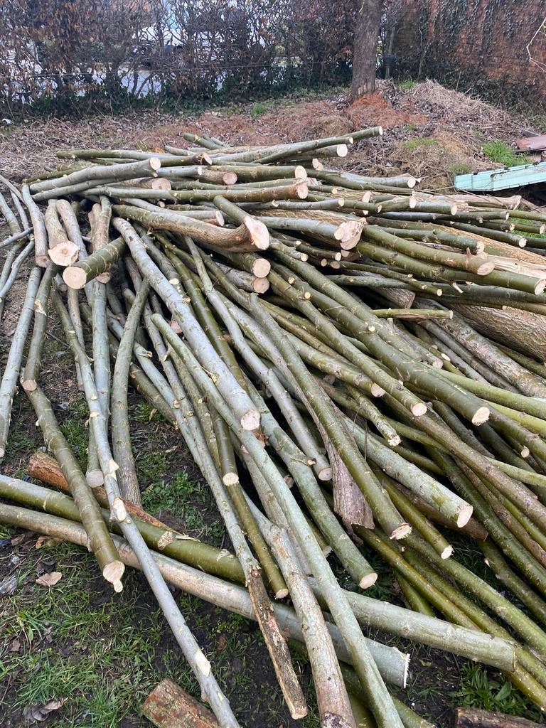 Wilgen hout op stam nat!, Tuin en Terras, Brandhout, 6 m³ of meer, Ophalen, Overige houtsoorten, Stammen