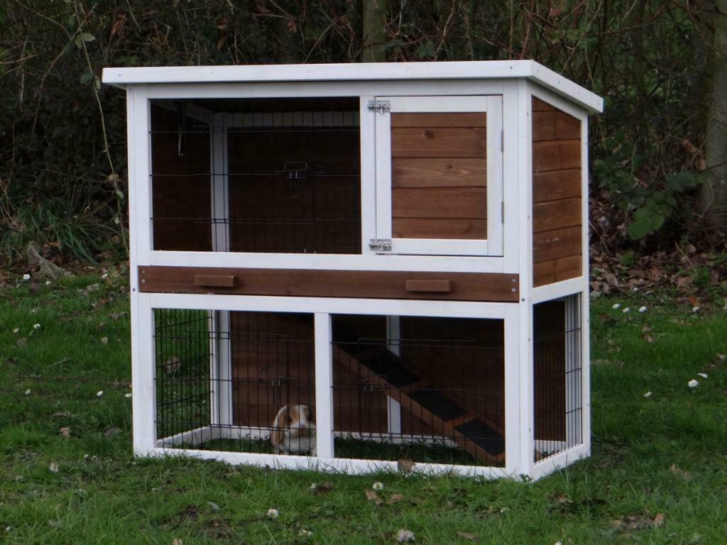 Clapier Lorraine clapier rongeur clapier lapin cage lapin XL, Envoi, Neuf, Cage, Lapin