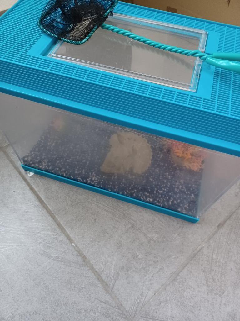 Aquarium, Animaux & Accessoires, Enlèvement, Comme neuf