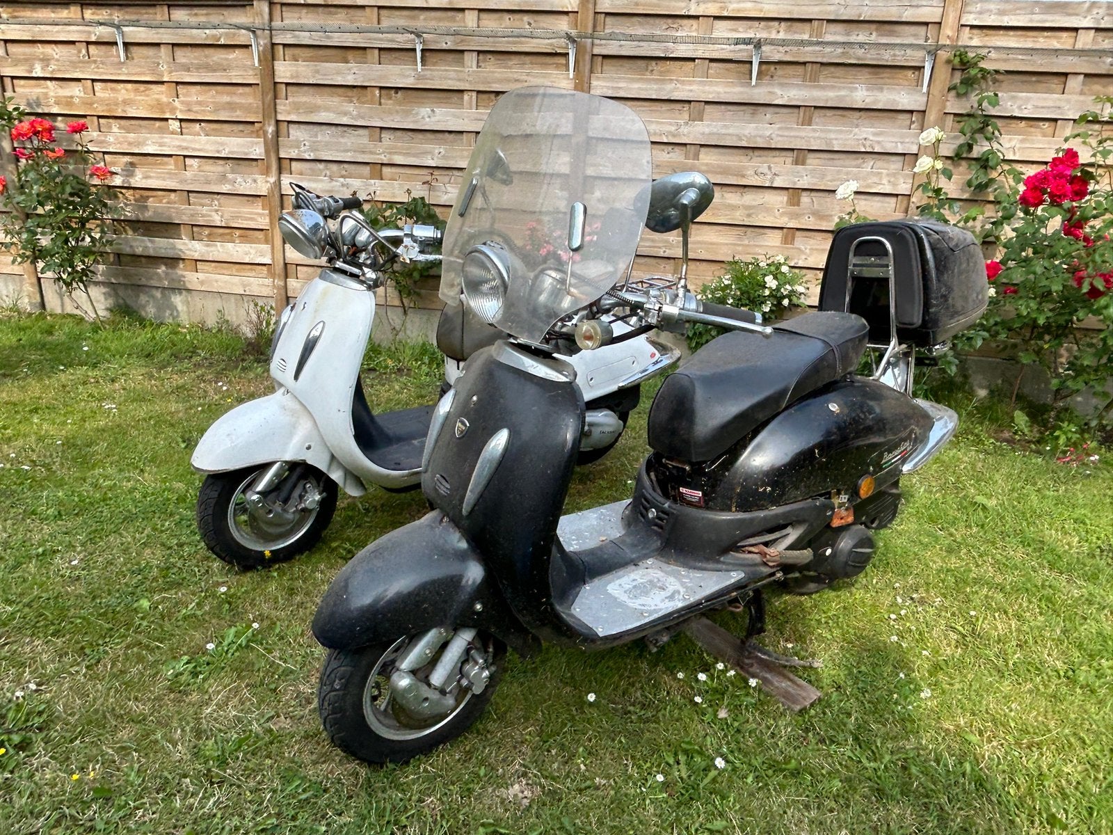 Neco Borsalino Uno 125cc x2 Black&White, Vélos & Vélomoteurs, Autres marques, Enlèvement, Utilisé, Essence