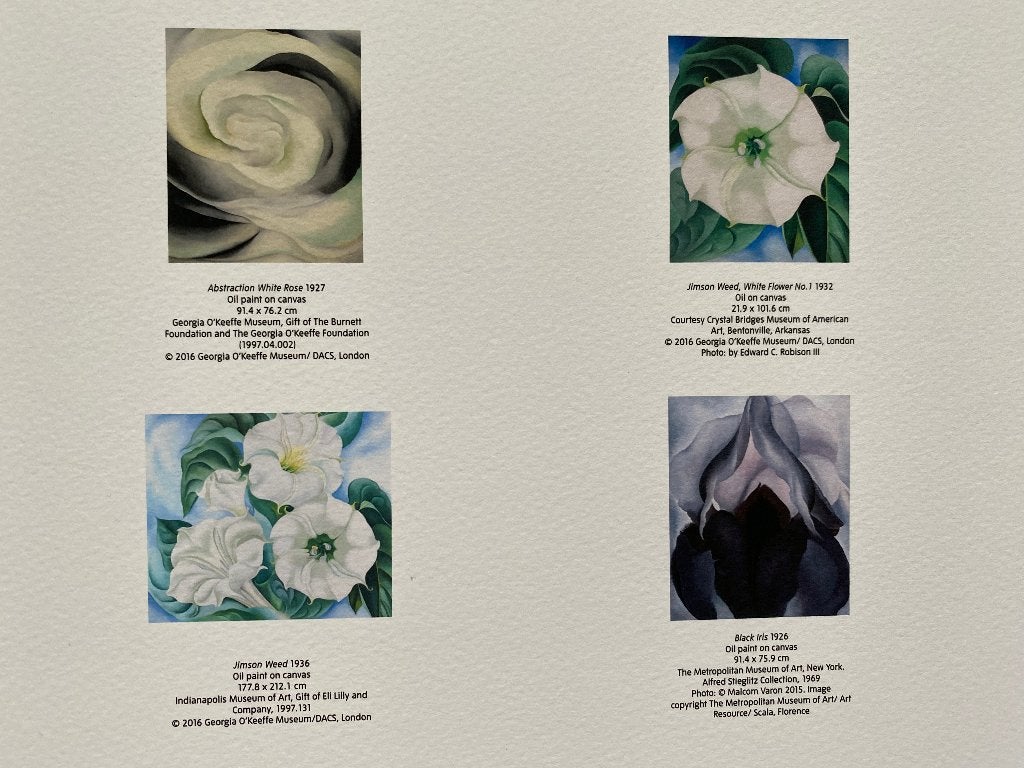 estampe Georgia O'keeffe, Antiek en Kunst, Kunst | Tekeningen en Fotografie, Ophalen