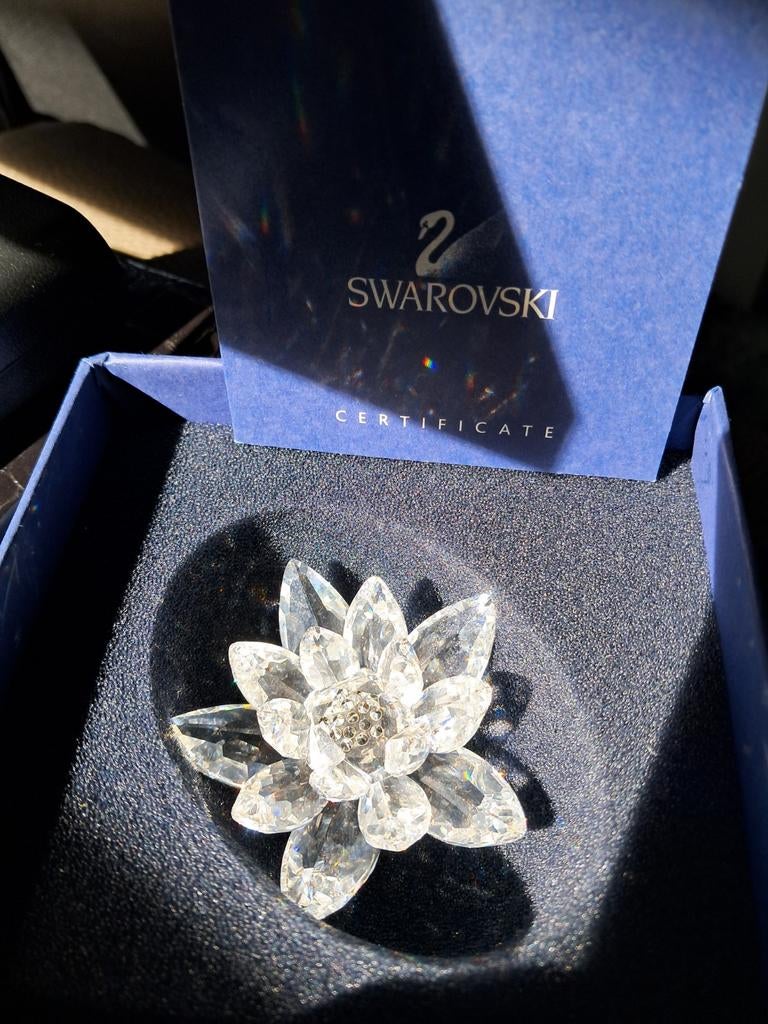 Water roos swarovski, Verzamelen, Ophalen