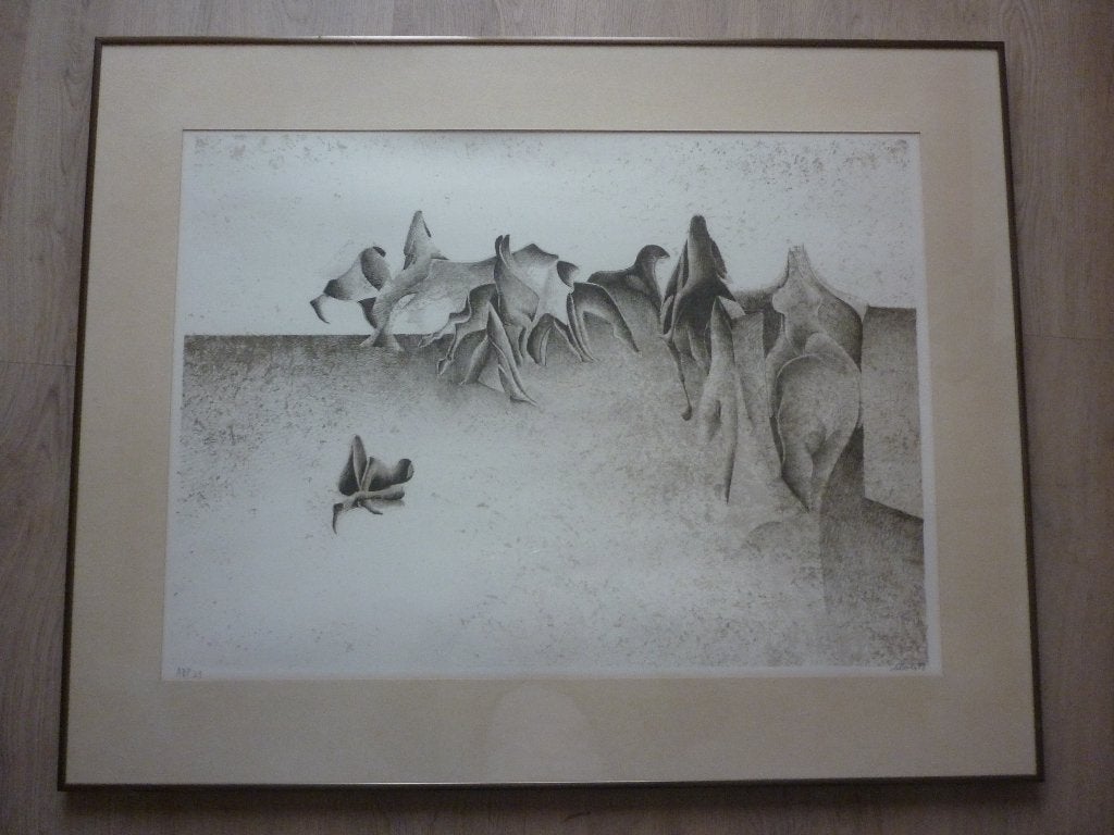 Litho, Antiquités & Art, Avec verre, Enlèvement, Abstrait, Lithographie