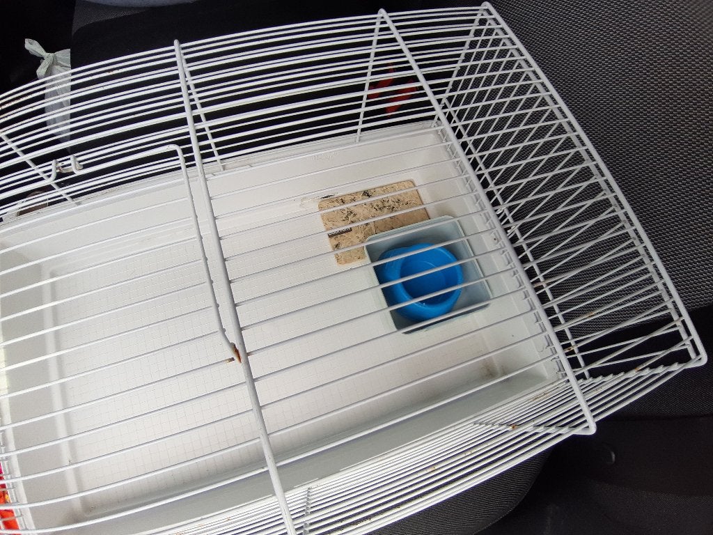 Hamsterkooi, Dieren en Toebehoren, Ophalen, Gebruikt, Kooi, Hamster