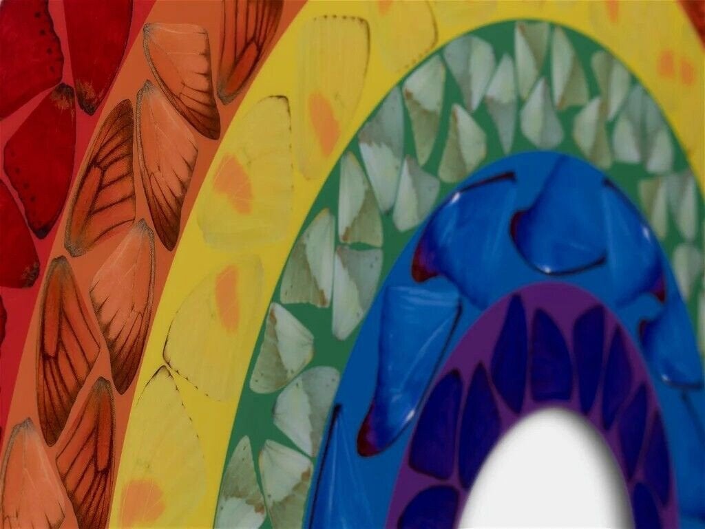 DAMIEN HIRST BUTTERFLY RAINBOW” (LARGE), Antiquités & Art, Art | Lithographies & Sérigraphies, Enlèvement ou Envoi