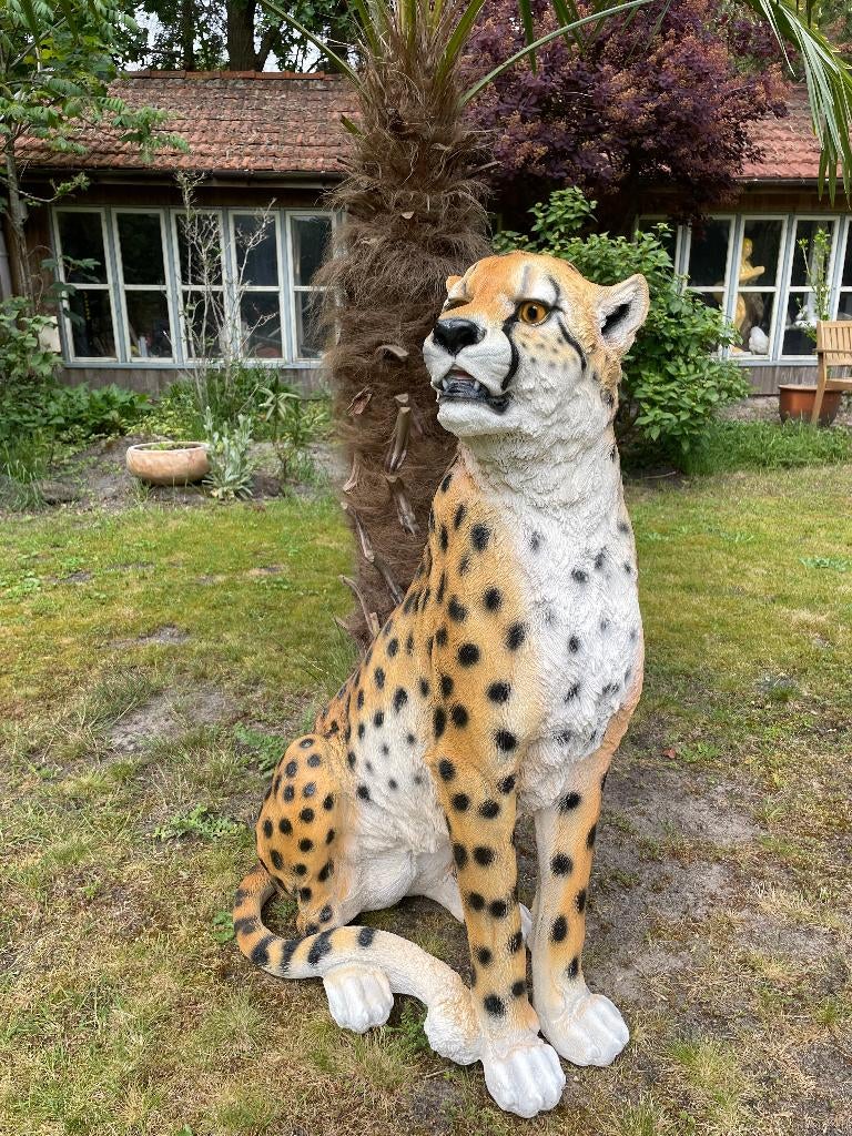 Beeld Panter zittend gazon, tuin, dierentuin, 95 cm, Tuin en Terras, Tuinbeelden, Ophalen, Nieuw, Kunststof, Dierenbeeld