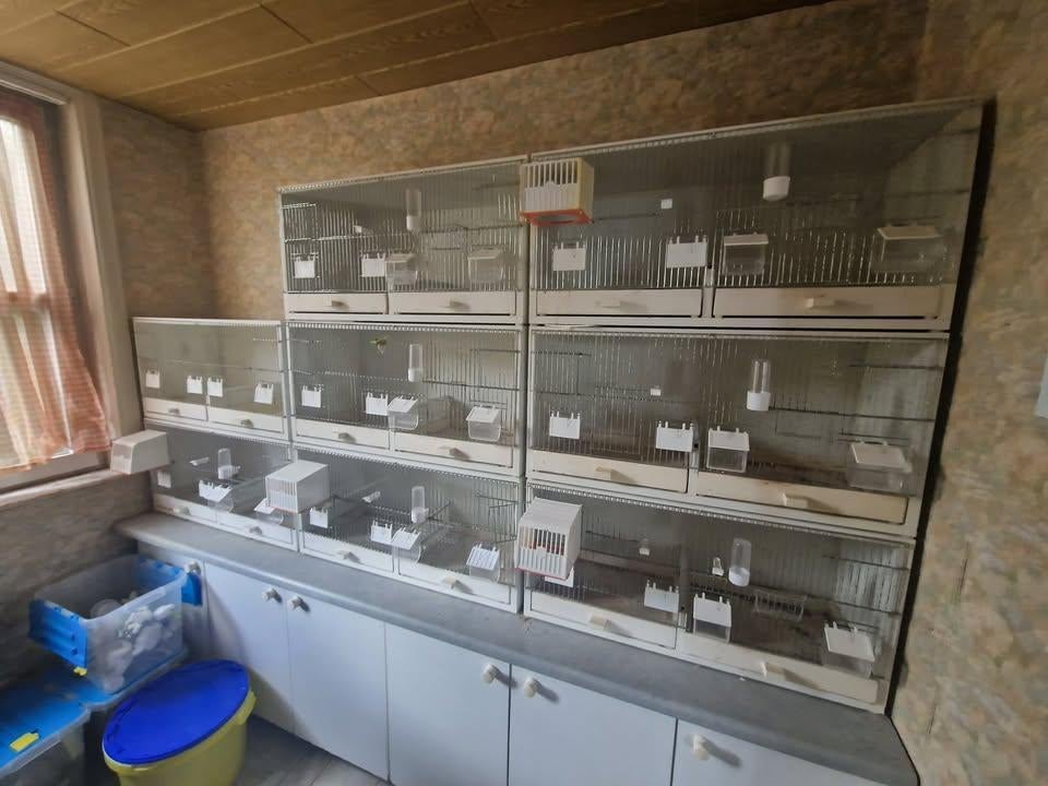 kweekkooi afm 80l x 40h x 30d  prijs 50 euro per stuk, Ophalen, Gebruikt, Overige materialen, Broedkooi of Kweekkooi