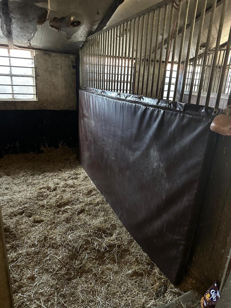 Kickpad paarden, Dieren en Toebehoren, Stalling