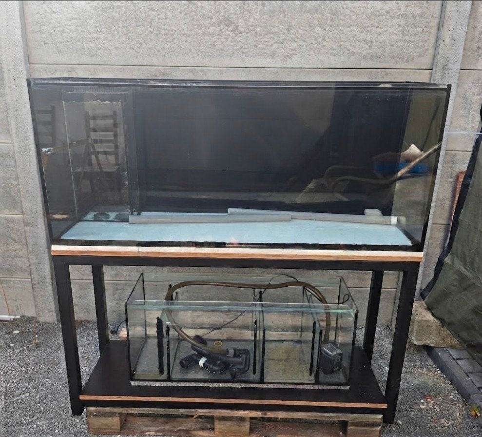 Aquarium avec biologiste, Animaux & Accessoires, Enlèvement