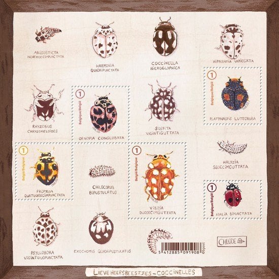 Bloc Coccinelles Année 2026 Neufs, Timbres & Monnaies, Enlèvement ou Envoi, Non oblitéré, Neuf, Autre