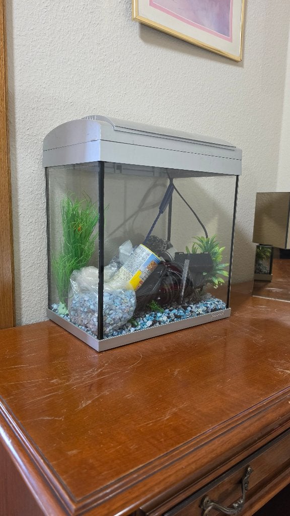 Aquarium avec chauffage et filtre, Enlèvement, Chauffage, Utilisé, Meuble d'aquarium