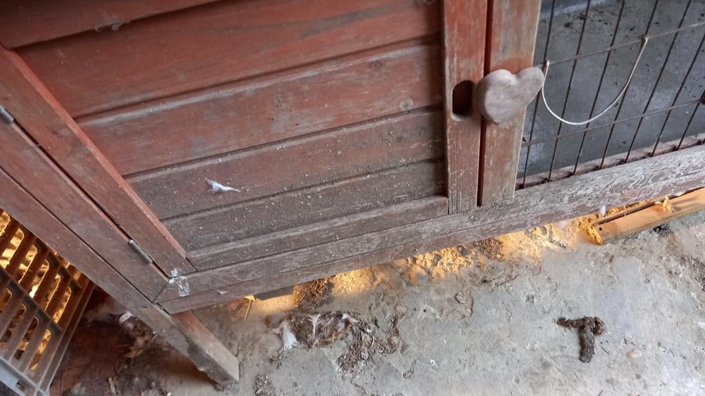 Konijnenhok  v buiten, Ophalen