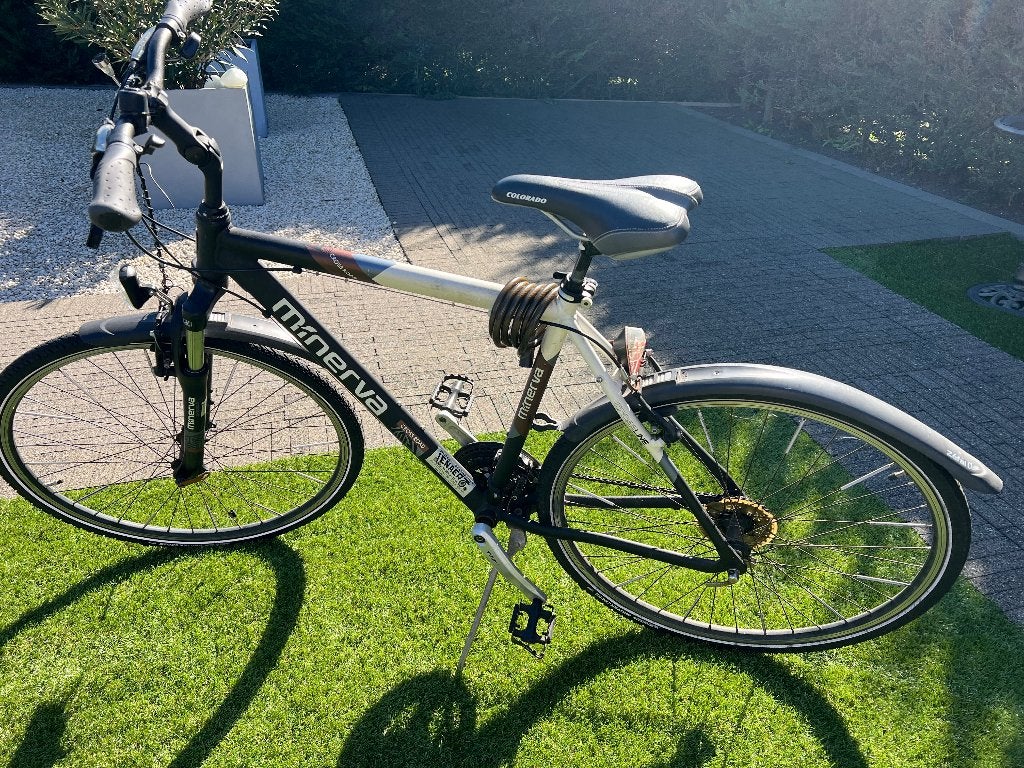 Fiets, Fietsen en Brommers, Gebruikt, Velgrem, 65 cm of meer, Ophalen