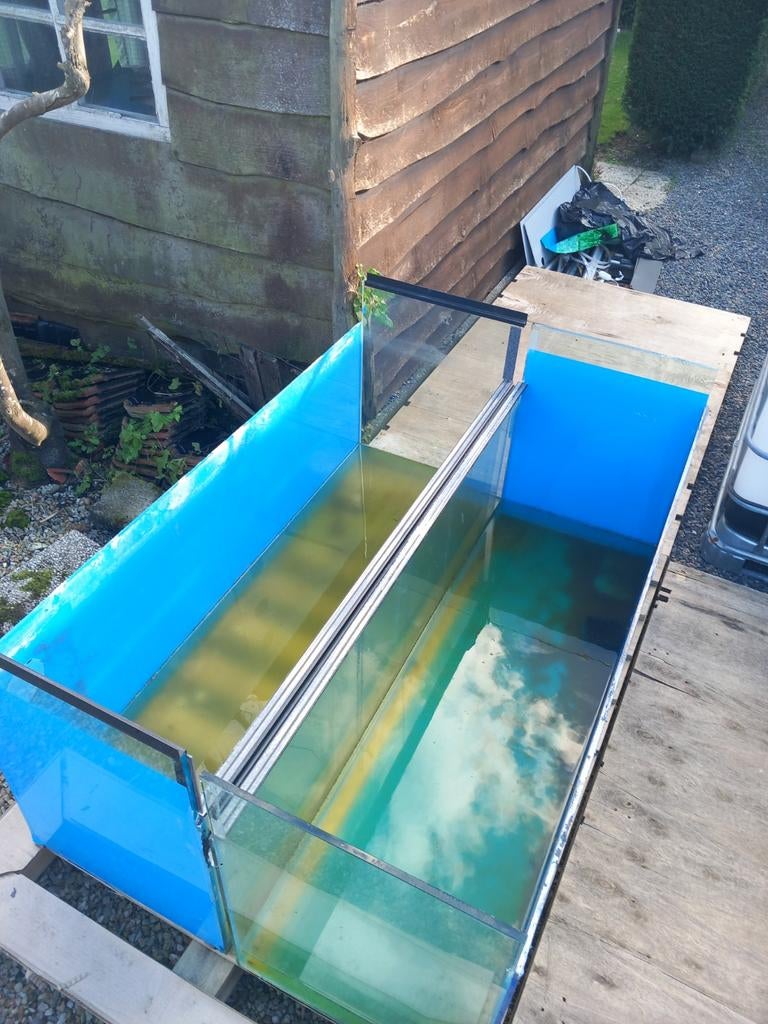 Aquariums, Ophalen