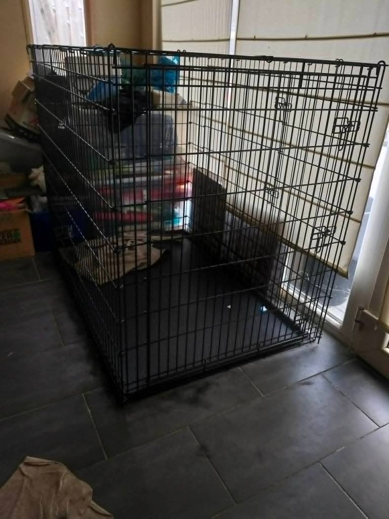 honde ren groot, Dieren en Toebehoren, Ophalen, Hondenkennel, 110 cm of meer, 100 cm of meer