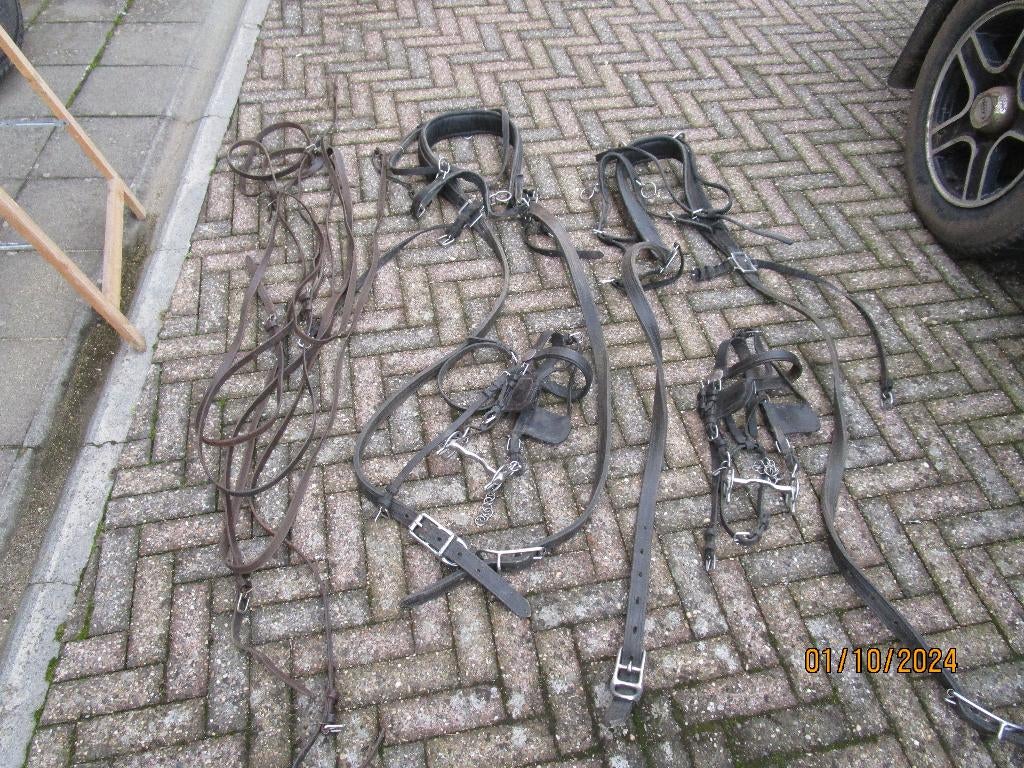 2span getuig, Dieren en Toebehoren, Ophalen, Gebruikt