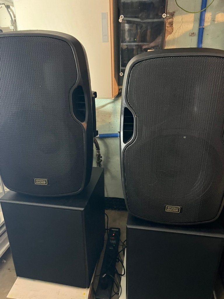 Fenton SHFS12B actieve subwoofer 12" 400W, AUX-ingang, Subwoofer, Zo goed als nieuw, Ophalen