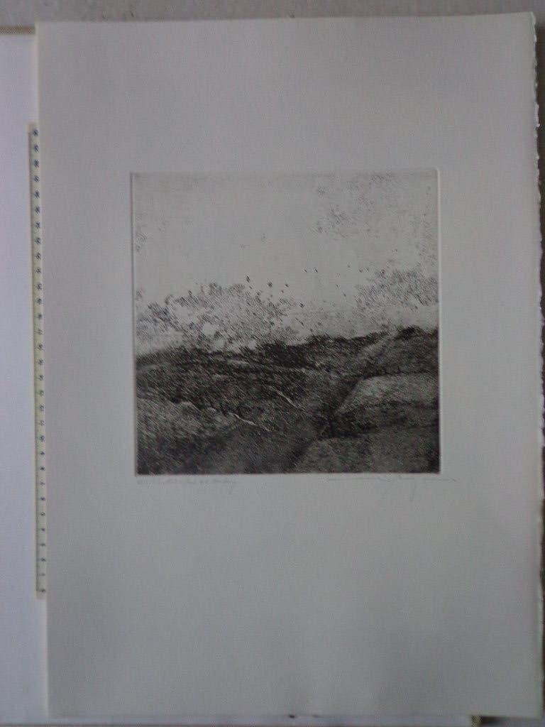 gevoelige ets van Martin R. Baeyens "Landschap", Ophalen of Verzenden, Gesigneerd, Landschap, 1950 - 1999