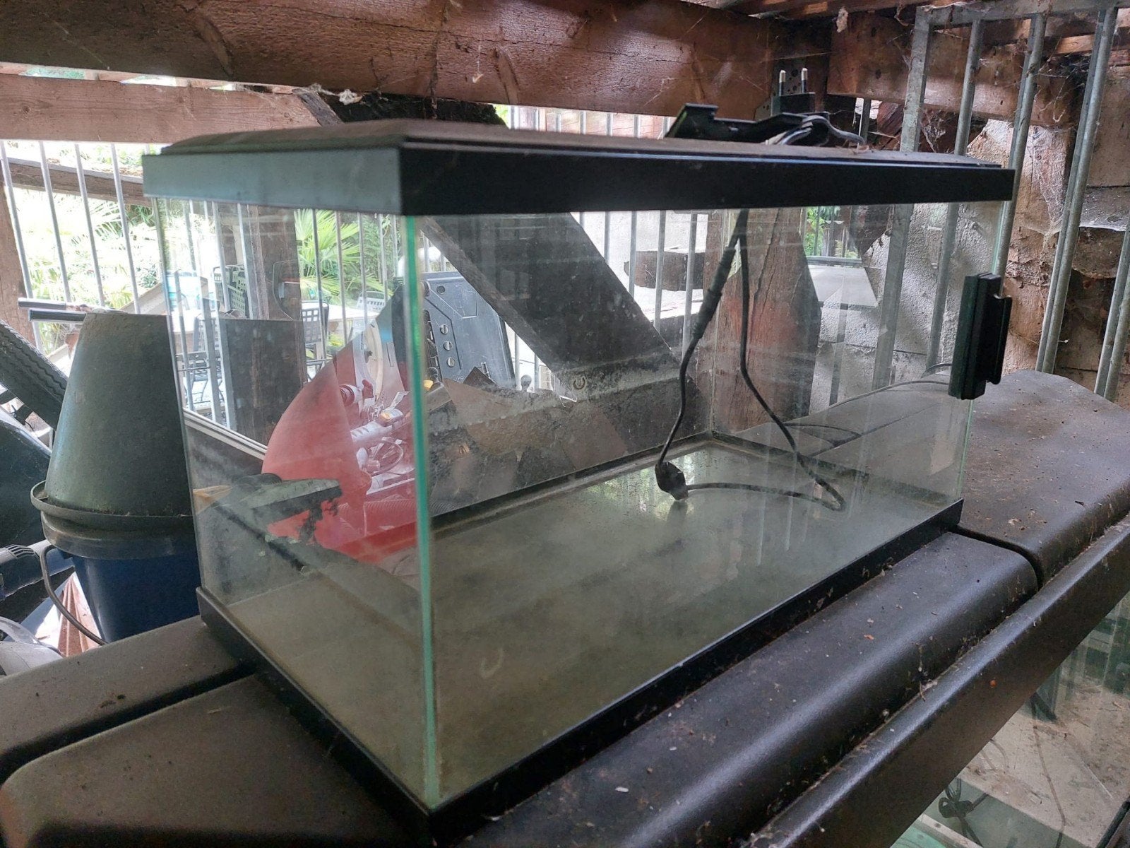 aquarium, Animaux & Accessoires, Enlèvement