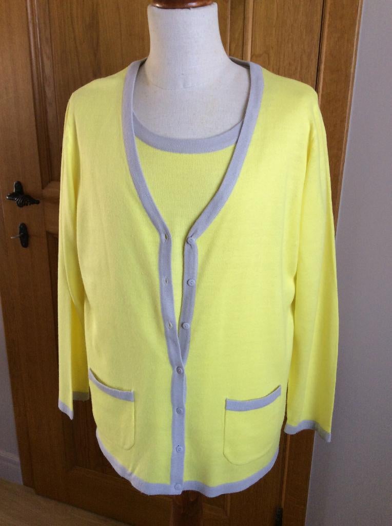 twinset (50), Kleding | Dames, Truien en Vesten, Ophalen