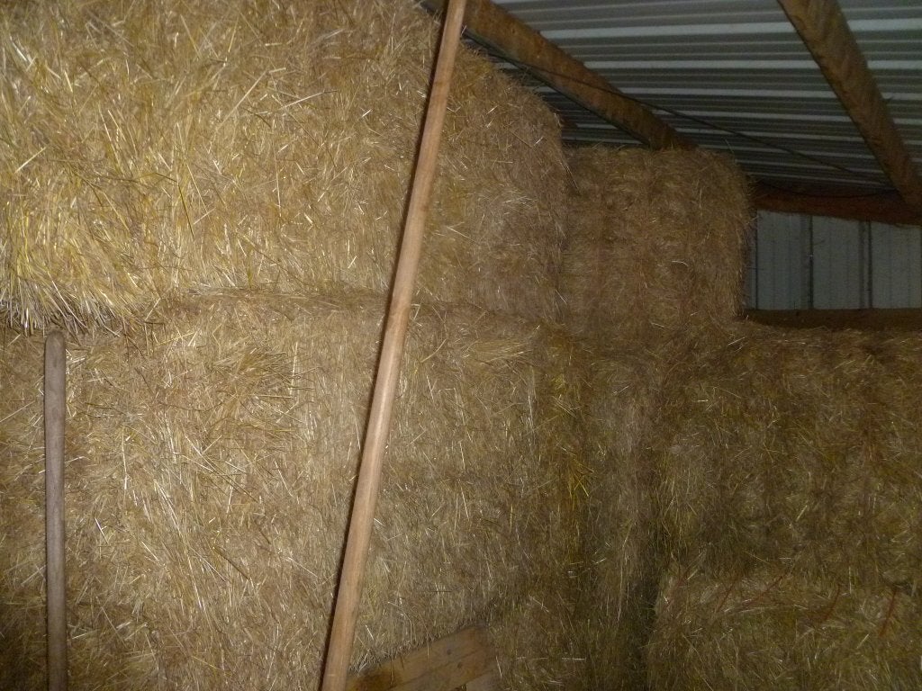 foin gros ballots 120/70/180 à vendre, Enlèvement, Bétail