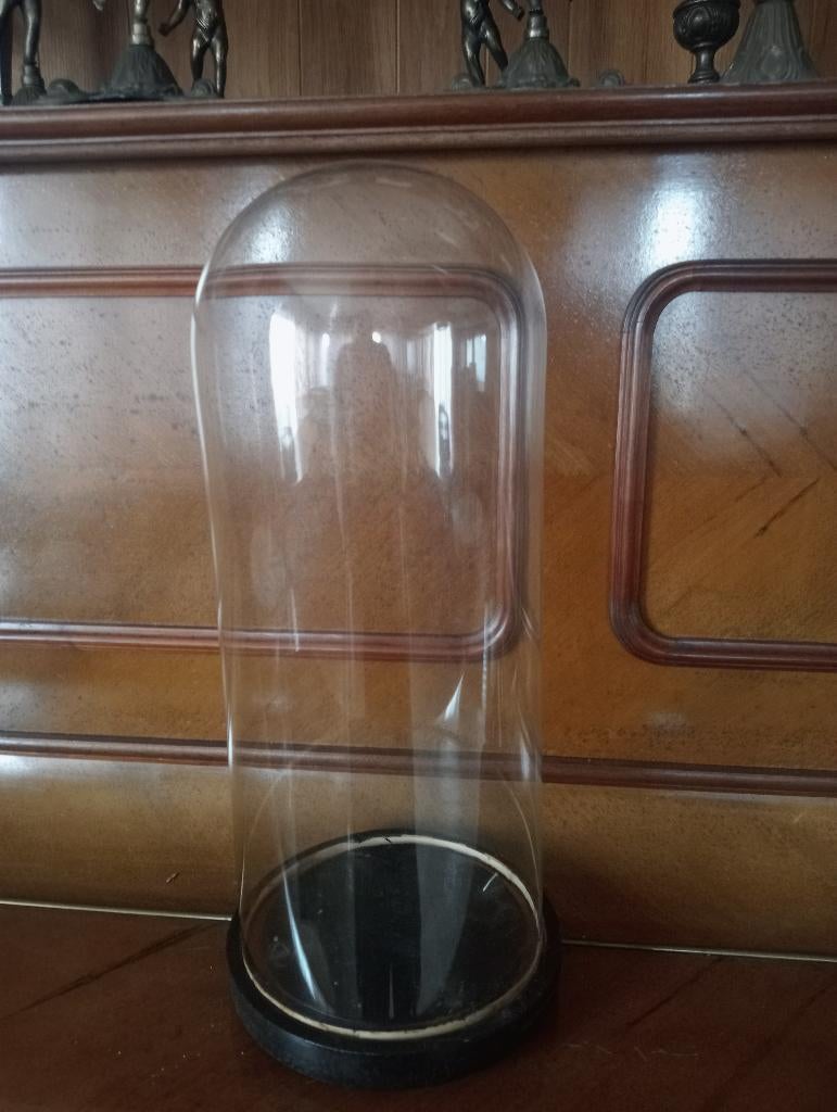 Cloche en verre, Enlèvement, Utilisé
