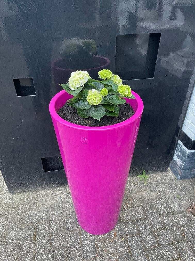 RONDE Plantenbak bloembak FUCHSIA kunststof bloempot, Neuf, Enlèvement ou Envoi, Rond, Synthétique