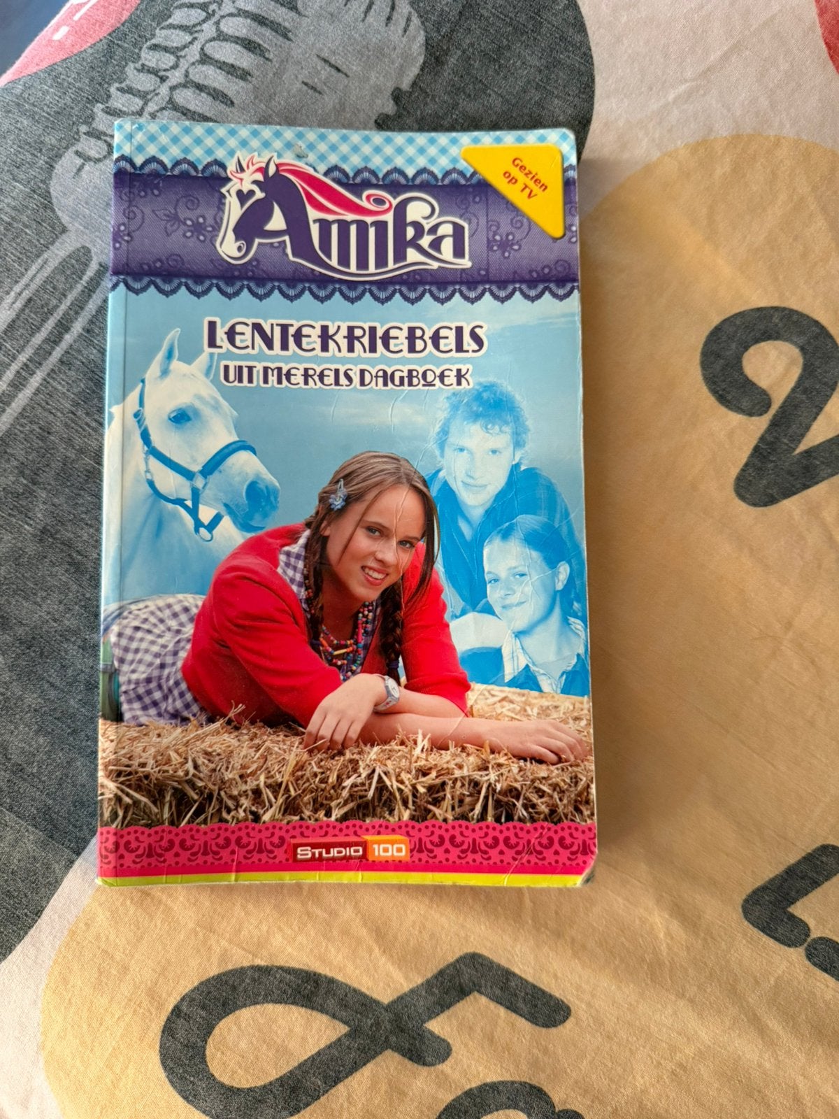 Boek amika, Boeken, Ophalen of Verzenden, Zo goed als nieuw