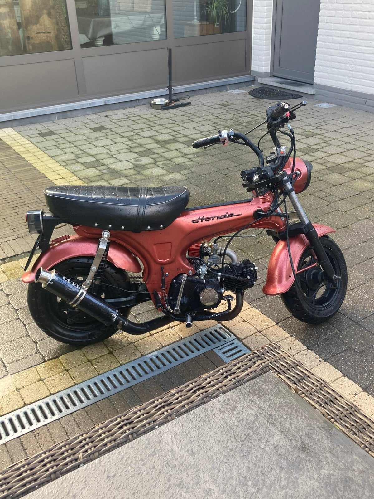 50cc dax, Autres modèles, 4 vitesses, Comme neuf, Classe B (45 km/h)