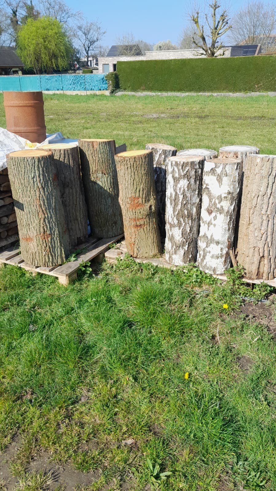 Nagelblokken verschillende houtsoorten 90 cm hoog, Enlèvement, Troncs d'arbres
