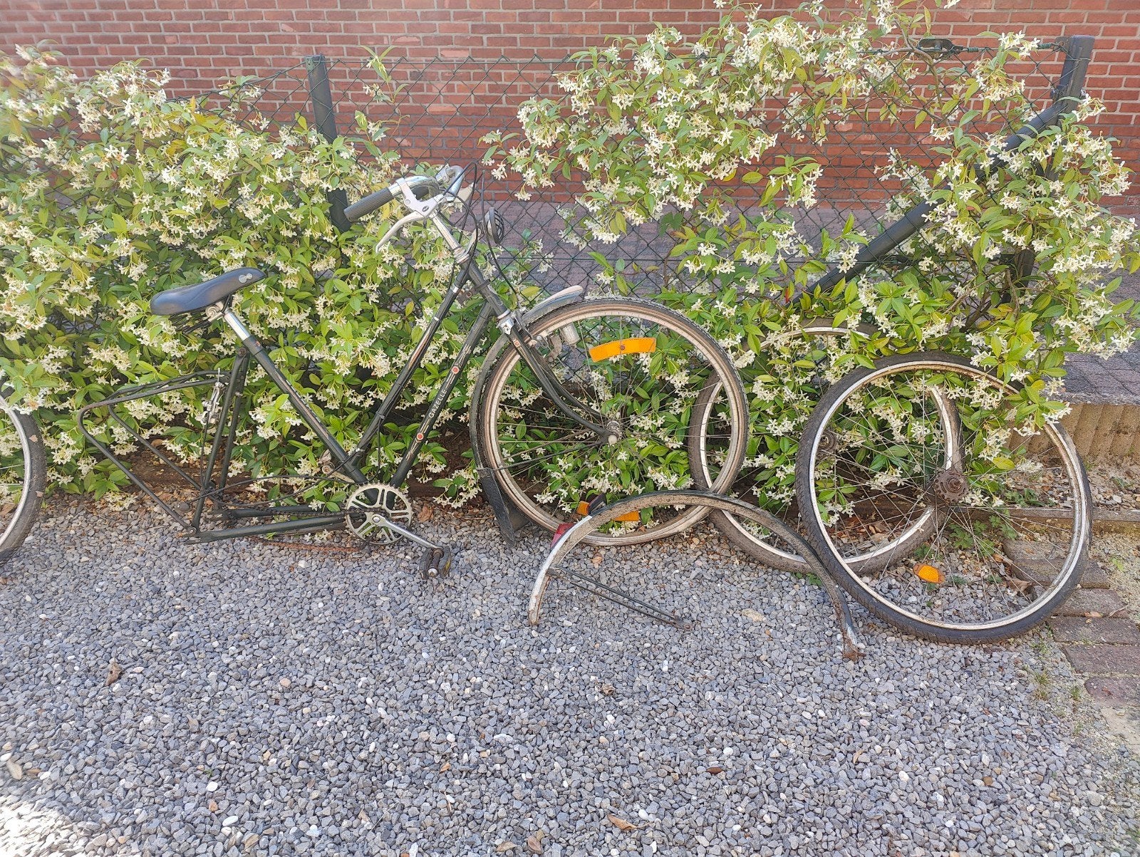 Oude fietsen, Ophalen