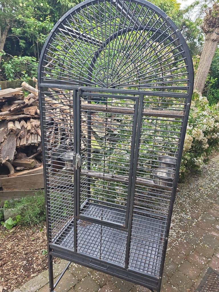 Stevige papegaaienkooi op wieltjes – 173 cm hoog, Dieren en Toebehoren, Vogels | Hokken en Kooien, Ophalen