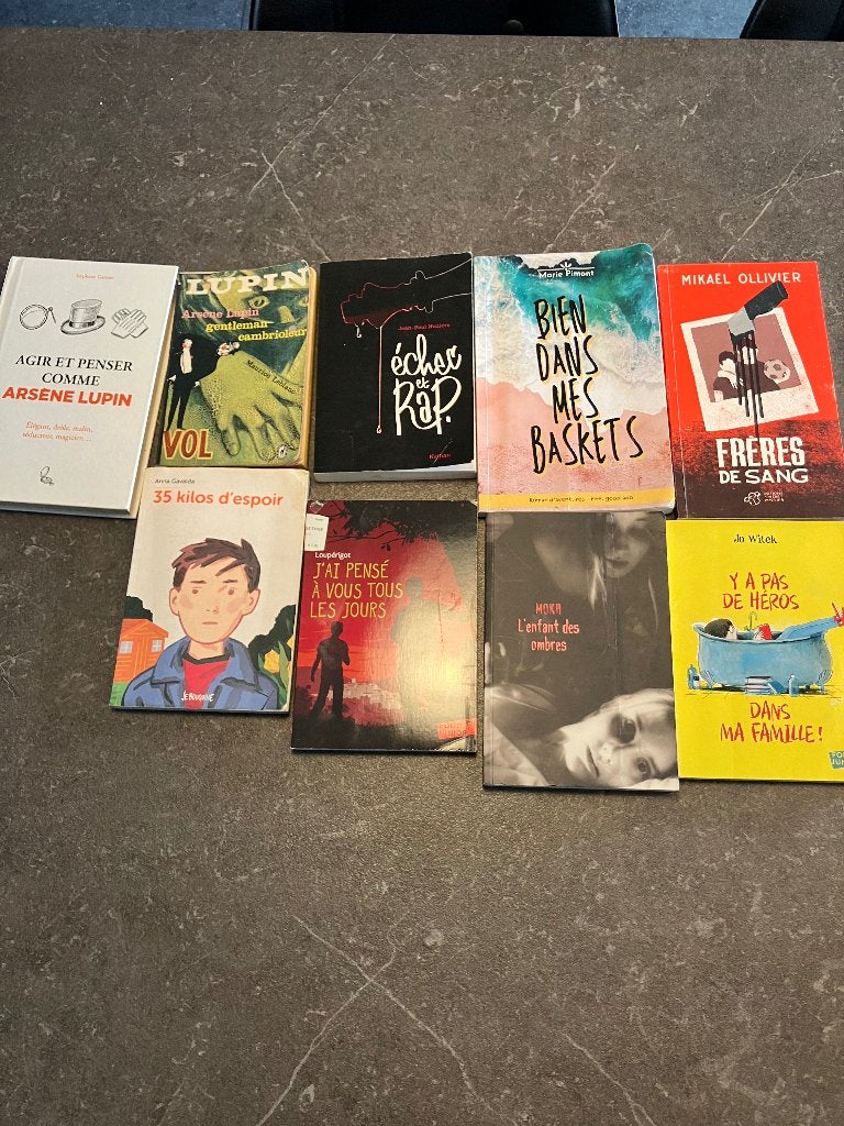 Livres et roman scolaire, Enlèvement ou Envoi, Comme neuf, Secondaire, Français