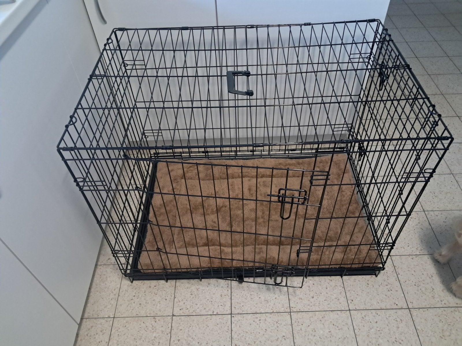 grote bench, Dieren en Toebehoren, Ophalen
