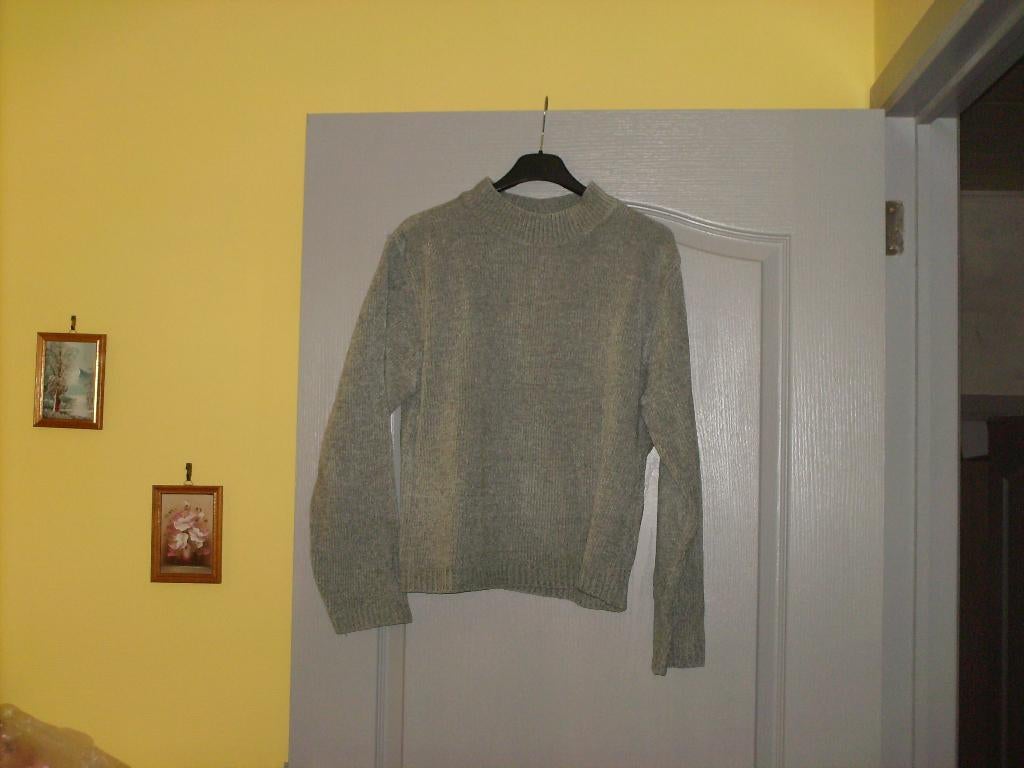 a vendre pull gilet pour dame, Enlèvement, Taille 42/44 (L), Neuf, Autres couleurs