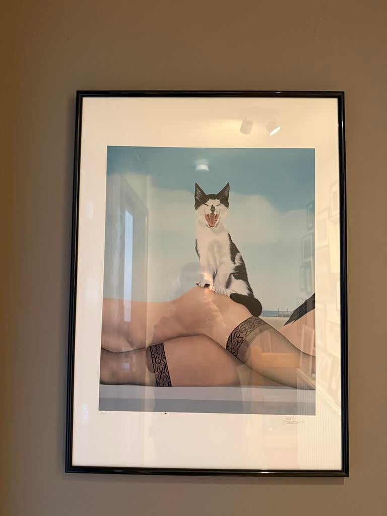 Foto in kader, Huis en Inrichting, Woonaccessoires | Lijsten, Ophalen, Overige materialen, 50 tot 75 cm, Zo goed als nieuw