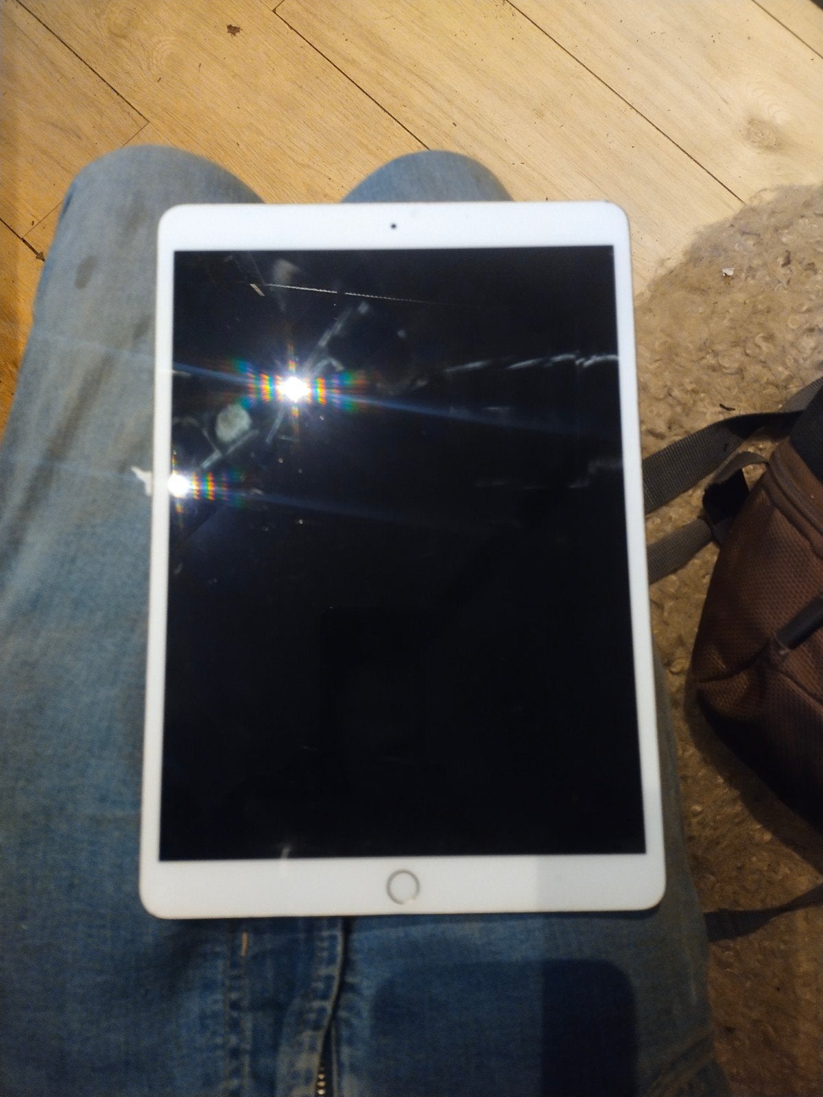 iPad pro 10.5 256 giga wifi + 4G, Computers en Software, Gebruikt, Apple iPad Pro, Wi-Fi en Mobiel internet, Goud