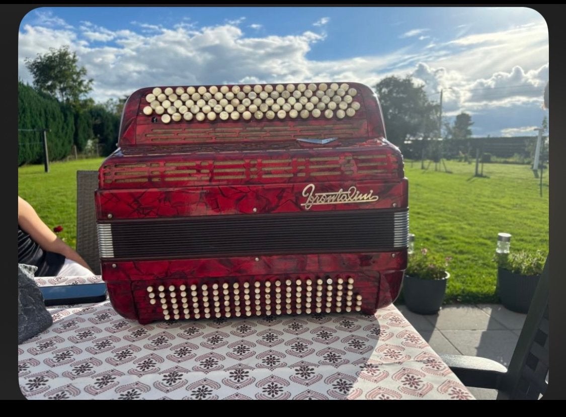 Accordéon, Muziek en Instrumenten, Ophalen, Gebruikt, Accordiola, Met koffer
