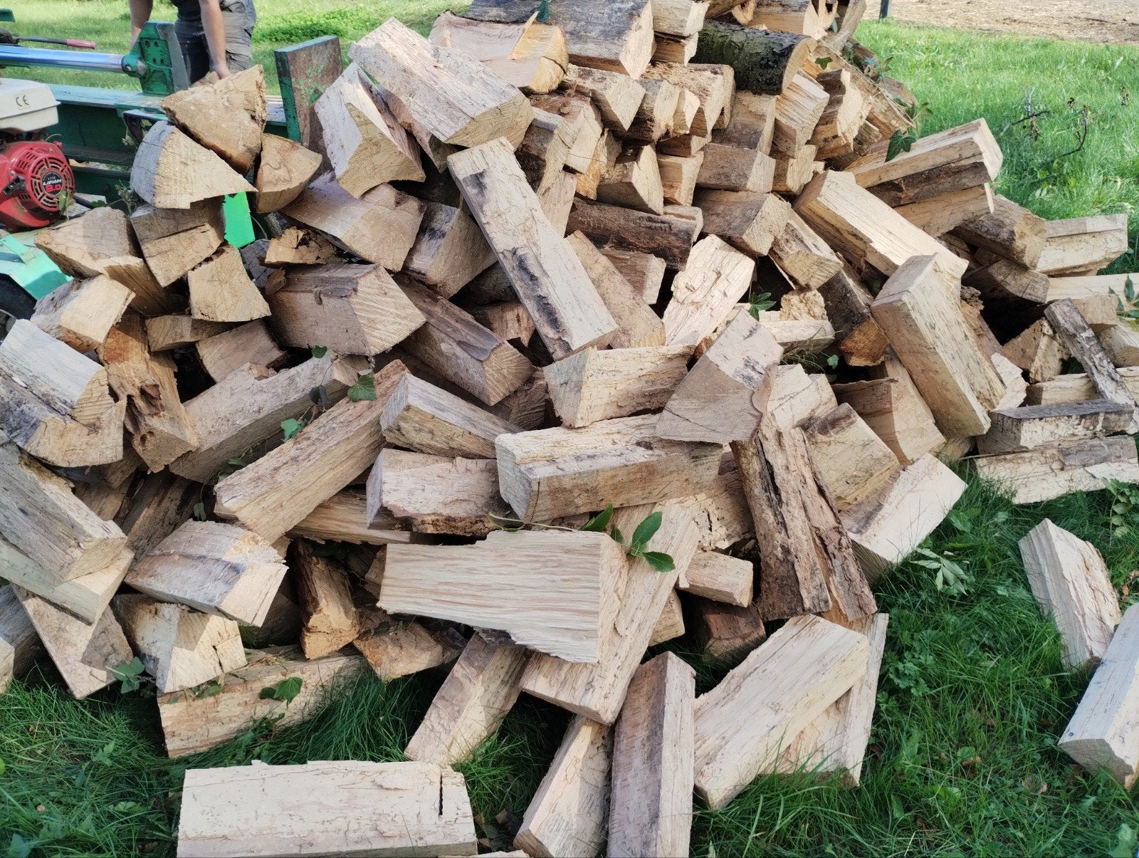 bois de chauffage sec en hêtre, Enlèvement ou Envoi